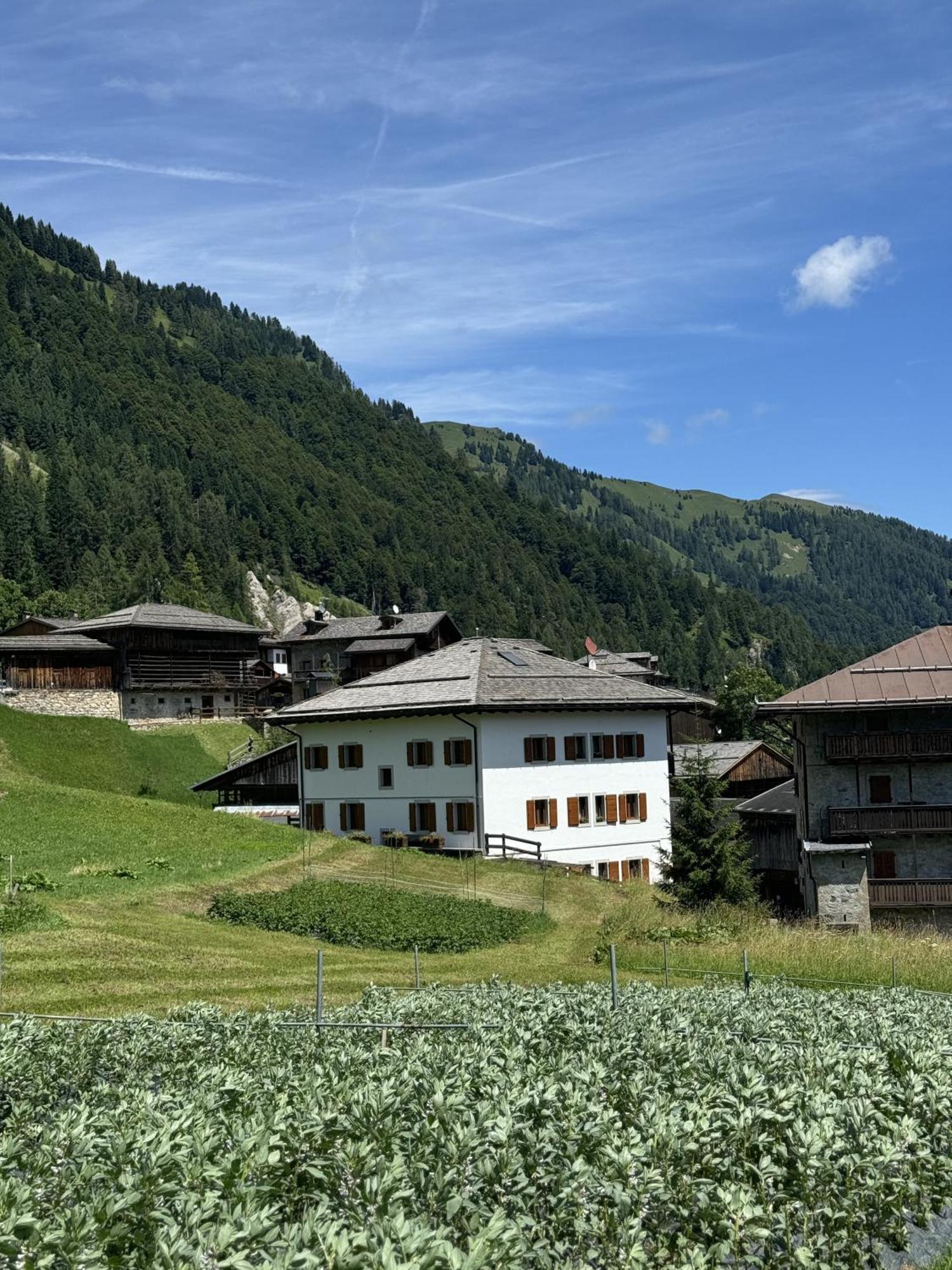 Neider Hotel - Alpine Retreat Sauris Exteriér fotografie