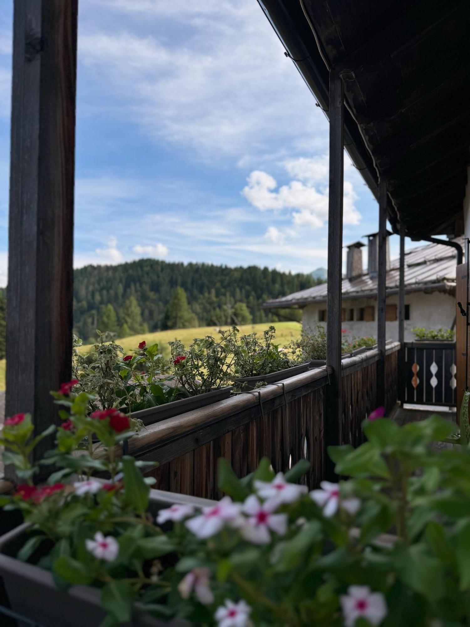 Neider Hotel - Alpine Retreat Sauris Exteriér fotografie