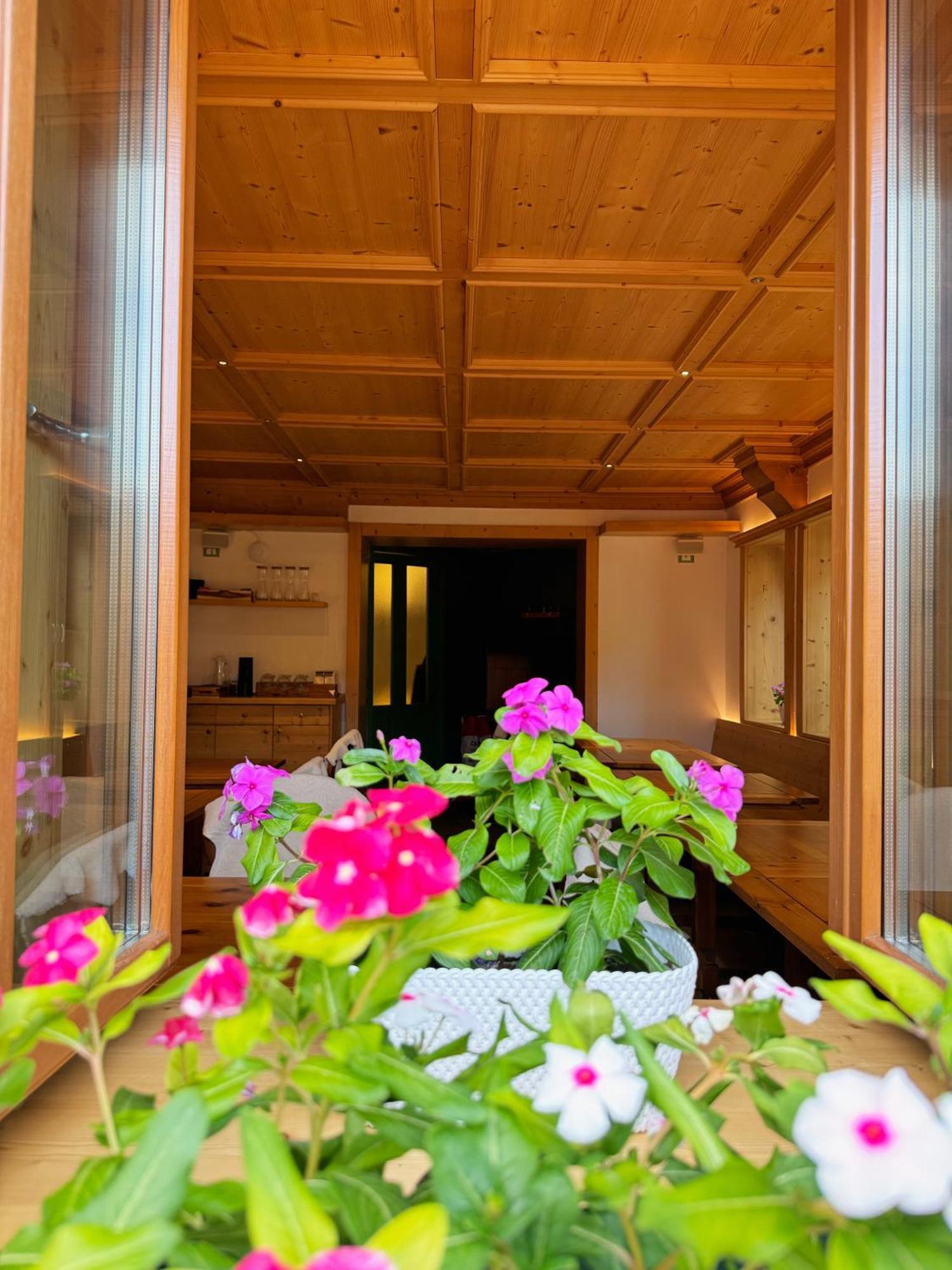 Neider Hotel - Alpine Retreat Sauris Exteriér fotografie